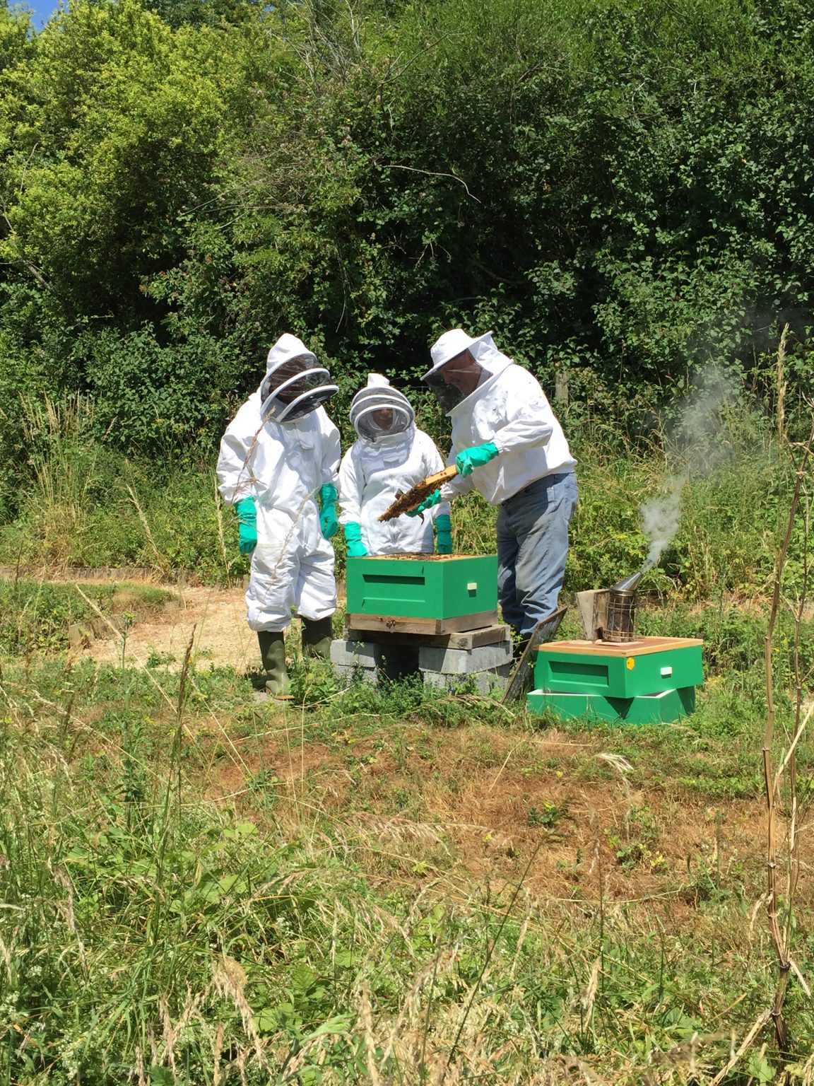 HWBKA High & District Beekeepers' Association (registered charity No. 299638)